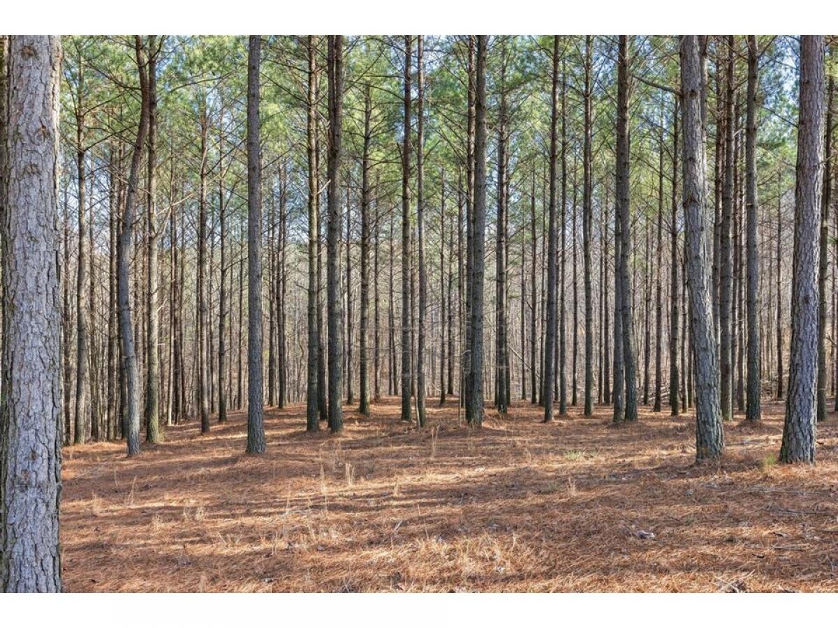 Picture of Residential Land For Sale in Jasper, Tennessee, United States