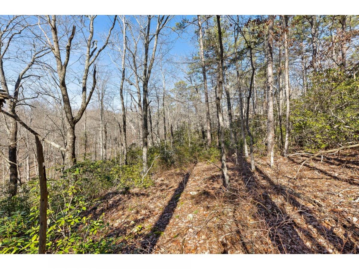 Picture of Residential Land For Sale in Dunlap, Tennessee, United States