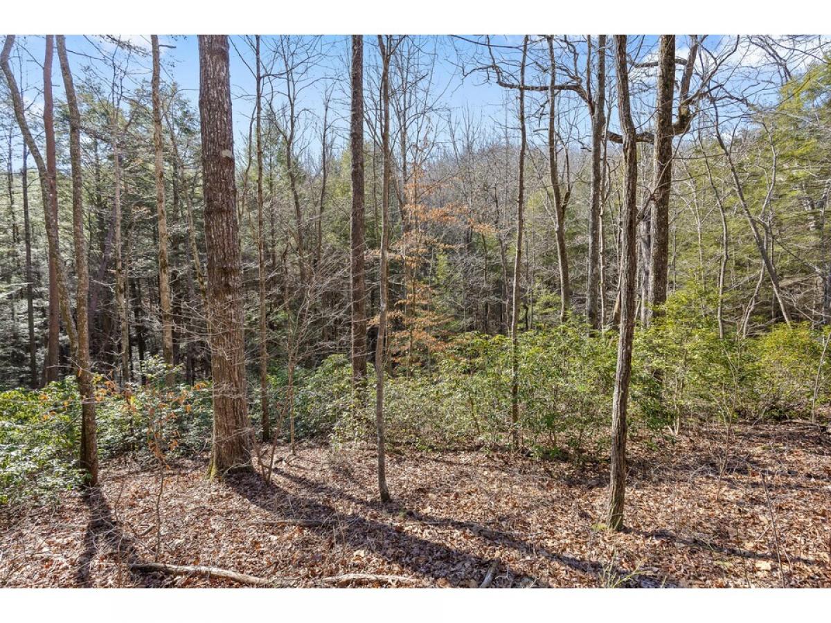 Picture of Residential Land For Sale in Dunlap, Tennessee, United States