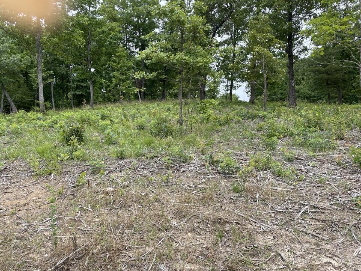 Picture of Residential Land For Sale in South Pittsburg, Tennessee, United States