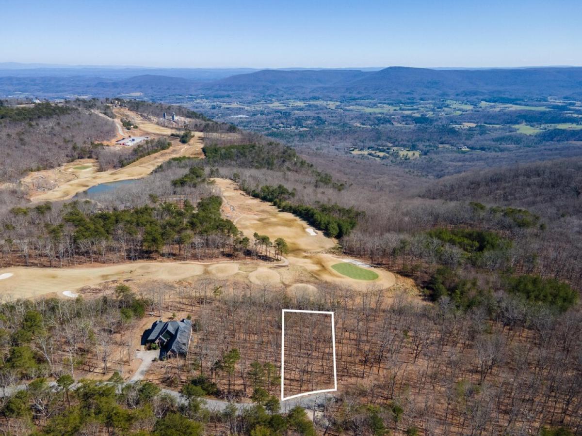 Picture of Residential Land For Sale in Rising Fawn, Georgia, United States