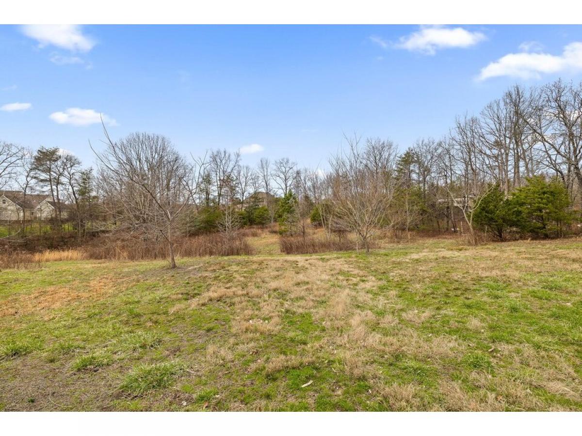 Picture of Residential Land For Sale in Signal Mountain, Tennessee, United States