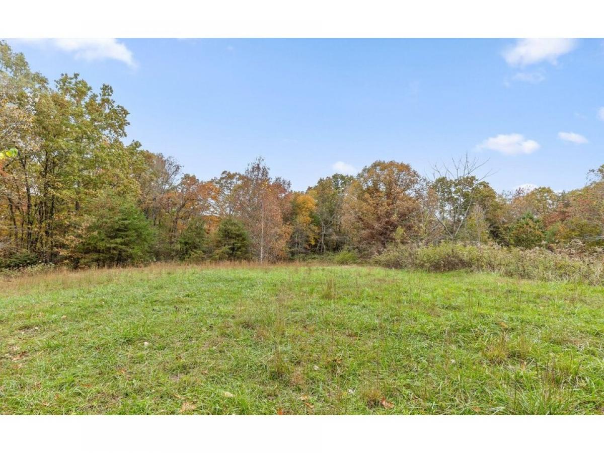 Picture of Residential Land For Sale in Signal Mountain, Tennessee, United States