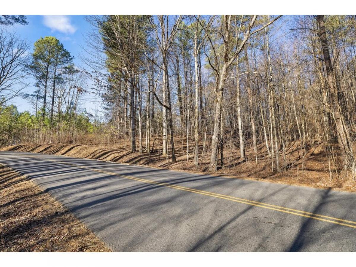 Picture of Residential Land For Sale in Dunlap, Tennessee, United States