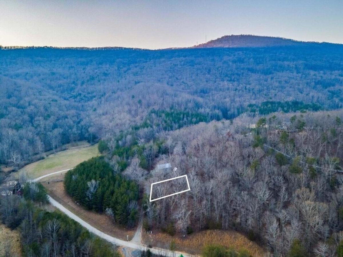 Picture of Residential Land For Sale in Chickamauga, Georgia, United States