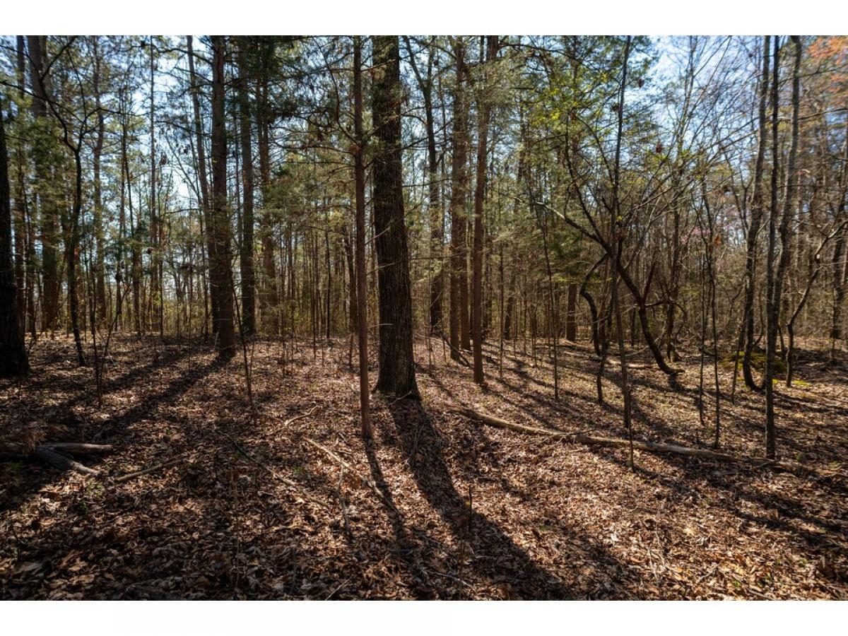 Picture of Residential Land For Sale in Georgetown, Tennessee, United States