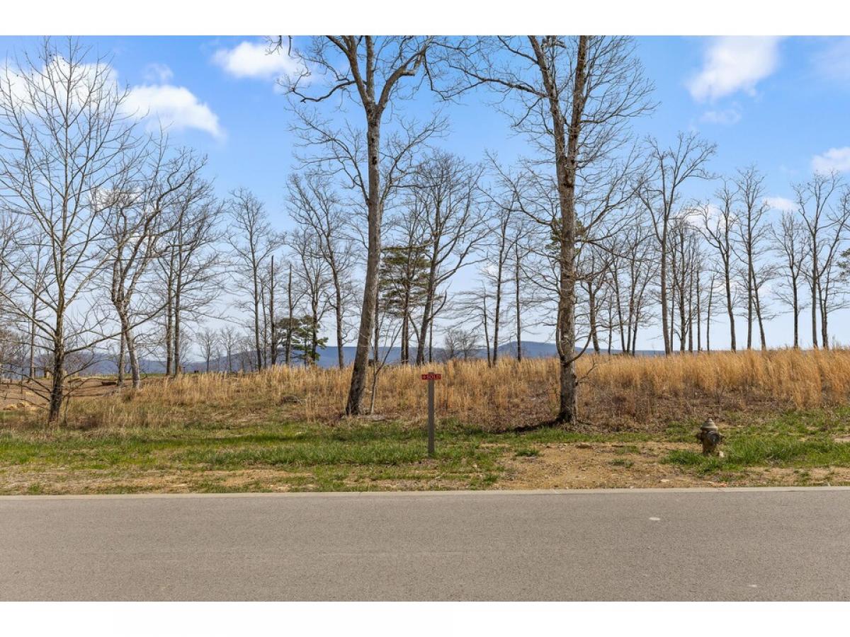 Picture of Residential Land For Sale in Rising Fawn, Georgia, United States