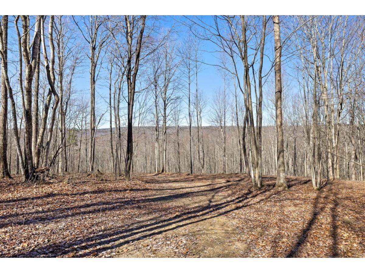 Picture of Residential Land For Sale in Dunlap, Tennessee, United States