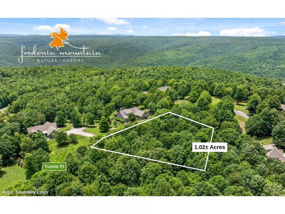 Picture of Residential Land For Sale in Dunlap, Tennessee, United States