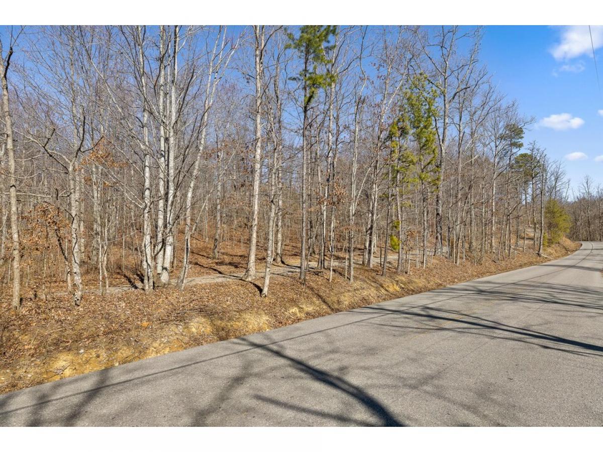 Picture of Residential Land For Sale in Dunlap, Tennessee, United States