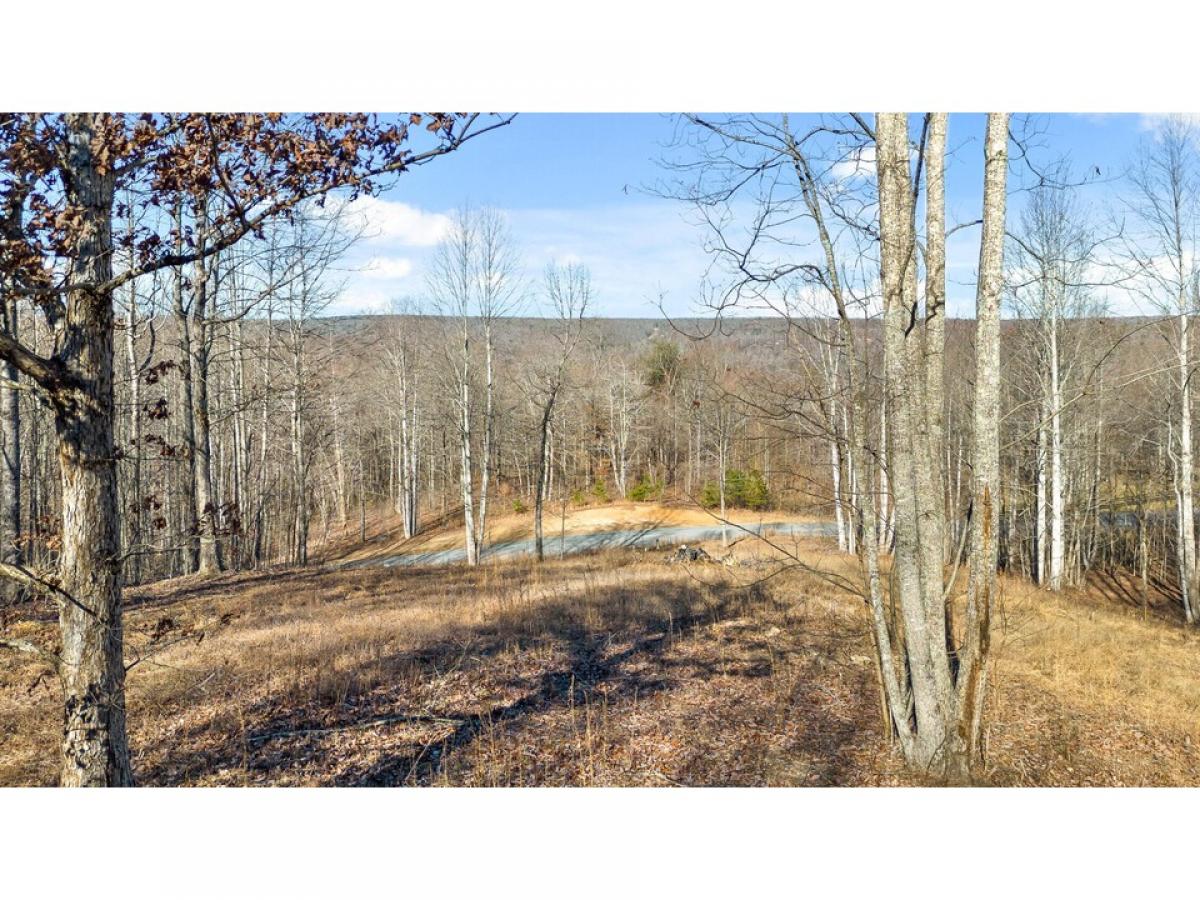 Picture of Residential Land For Sale in Dunlap, Tennessee, United States