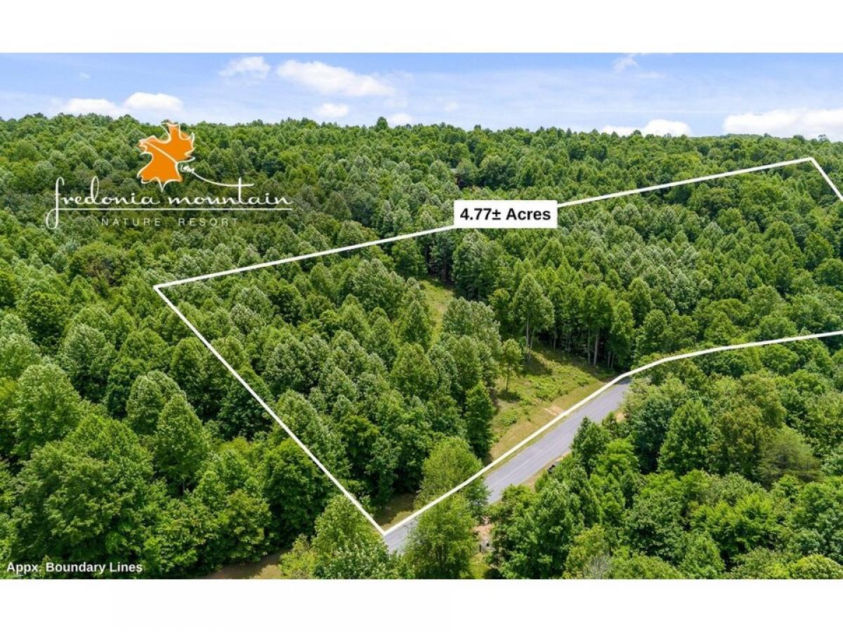 Picture of Residential Land For Sale in Dunlap, Tennessee, United States