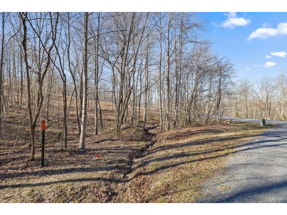 Picture of Residential Land For Sale in Dunlap, Tennessee, United States