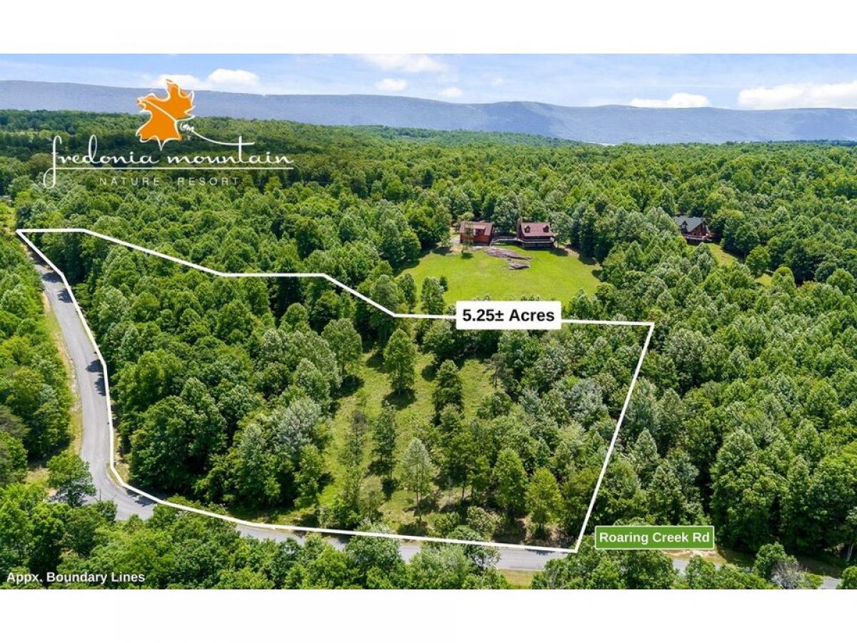 Picture of Residential Land For Sale in Dunlap, Tennessee, United States