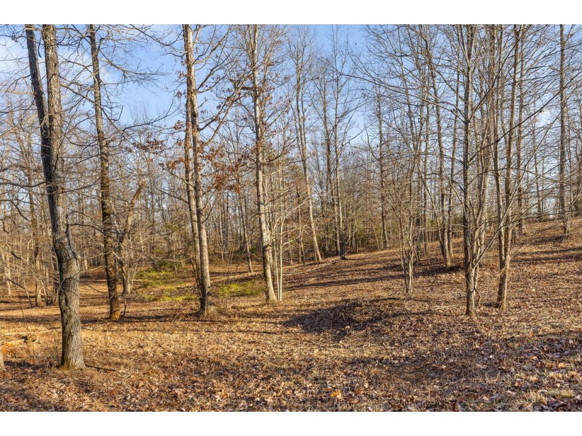 Picture of Residential Land For Sale in Dunlap, Tennessee, United States