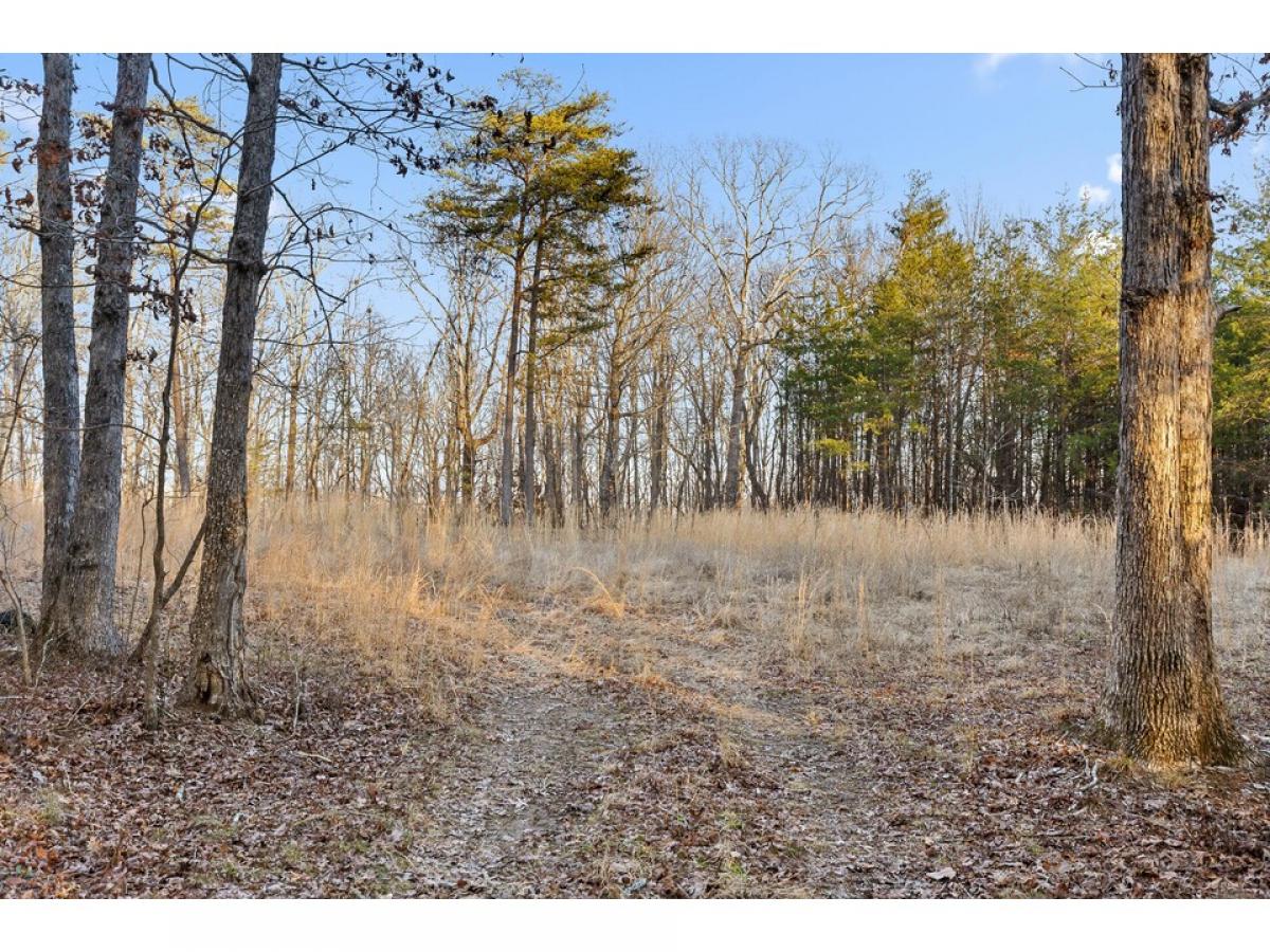 Picture of Residential Land For Sale in Dunlap, Tennessee, United States