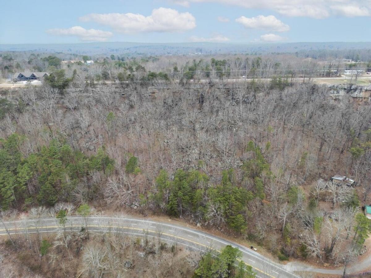 Picture of Residential Land For Sale in Trenton, Georgia, United States