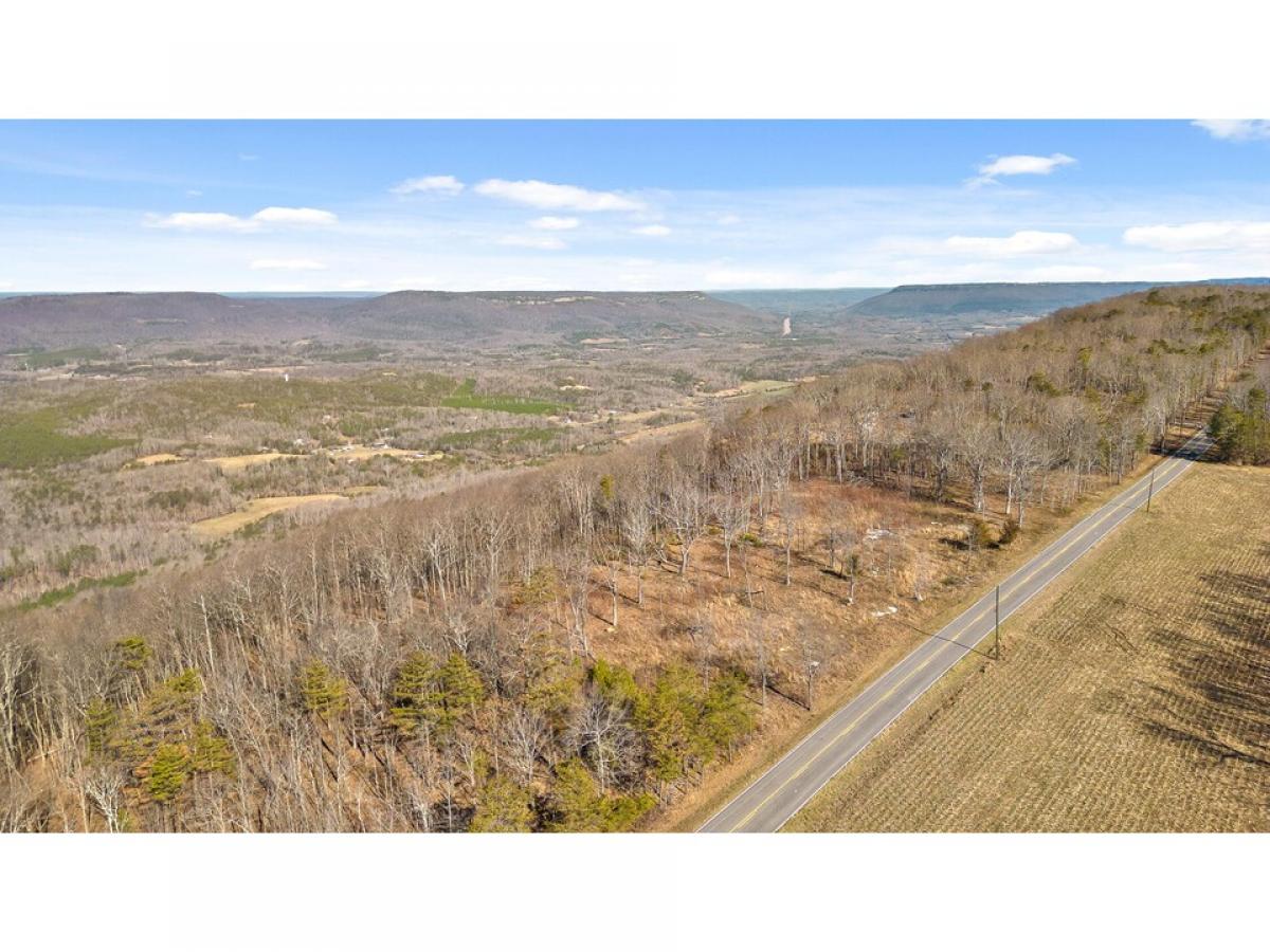 Picture of Residential Land For Sale in Menlo, Georgia, United States