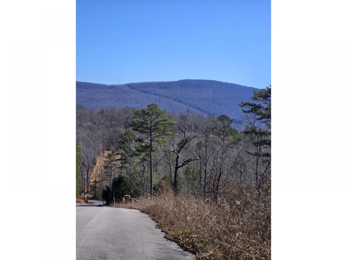 Picture of Residential Land For Sale in Dunlap, Tennessee, United States