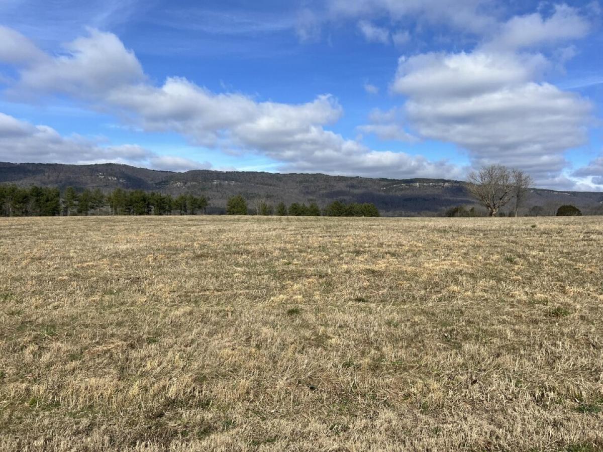 Picture of Residential Land For Sale in Dunlap, Tennessee, United States