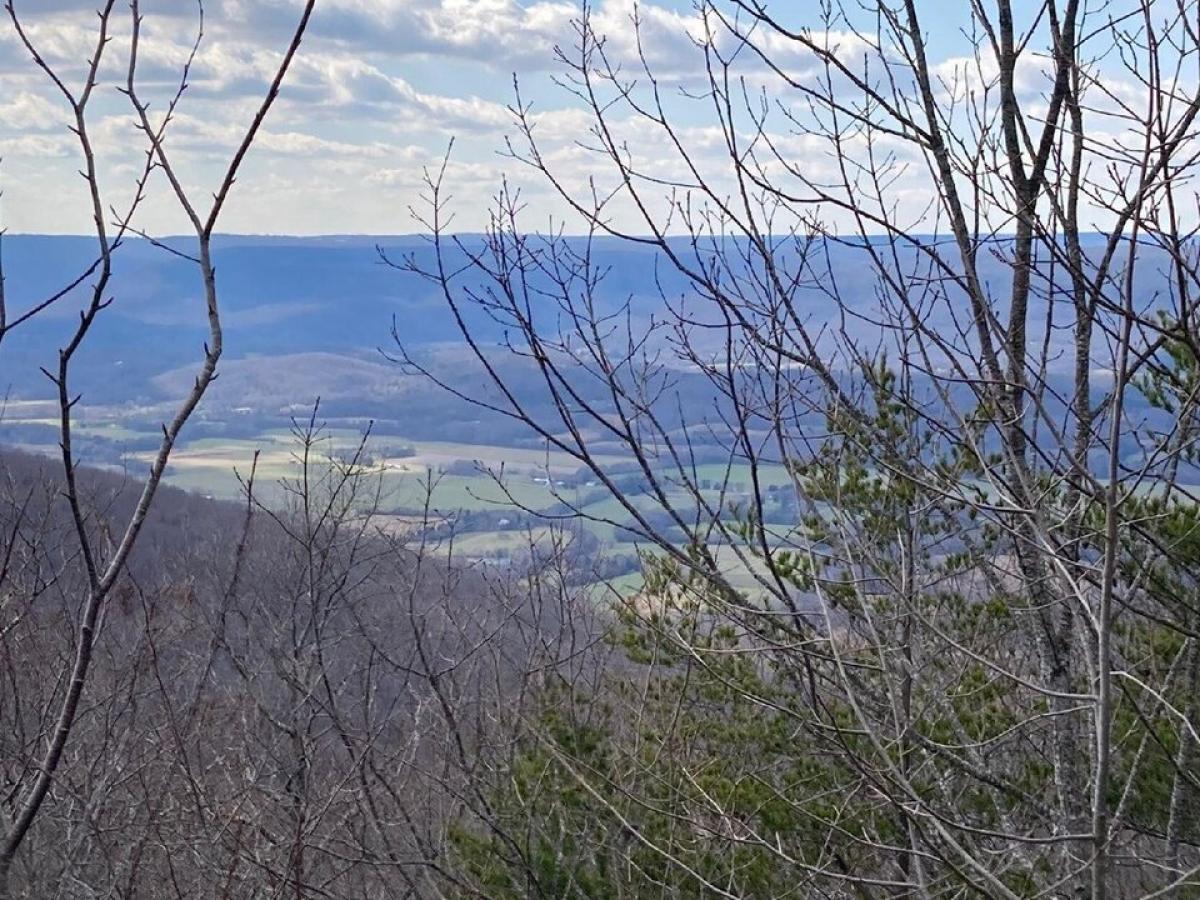 Picture of Home For Sale in Signal Mountain, Tennessee, United States