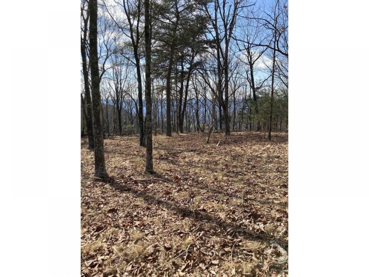 Picture of Residential Land For Sale in Signal Mountain, Tennessee, United States