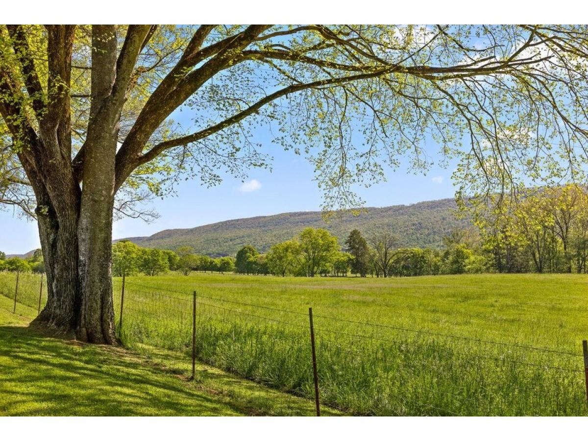 Picture of Home For Sale in Whitwell, Tennessee, United States