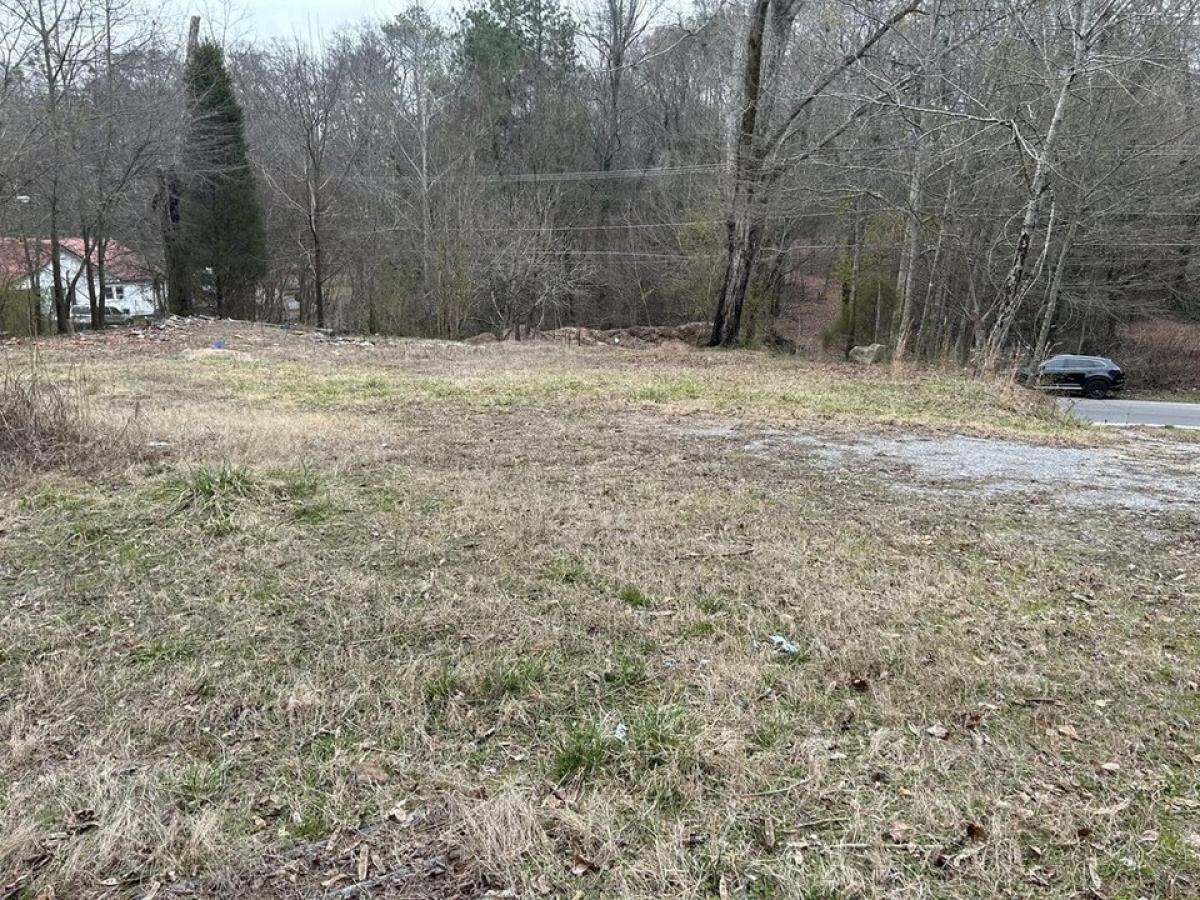 Picture of Residential Land For Sale in Lafayette, Georgia, United States