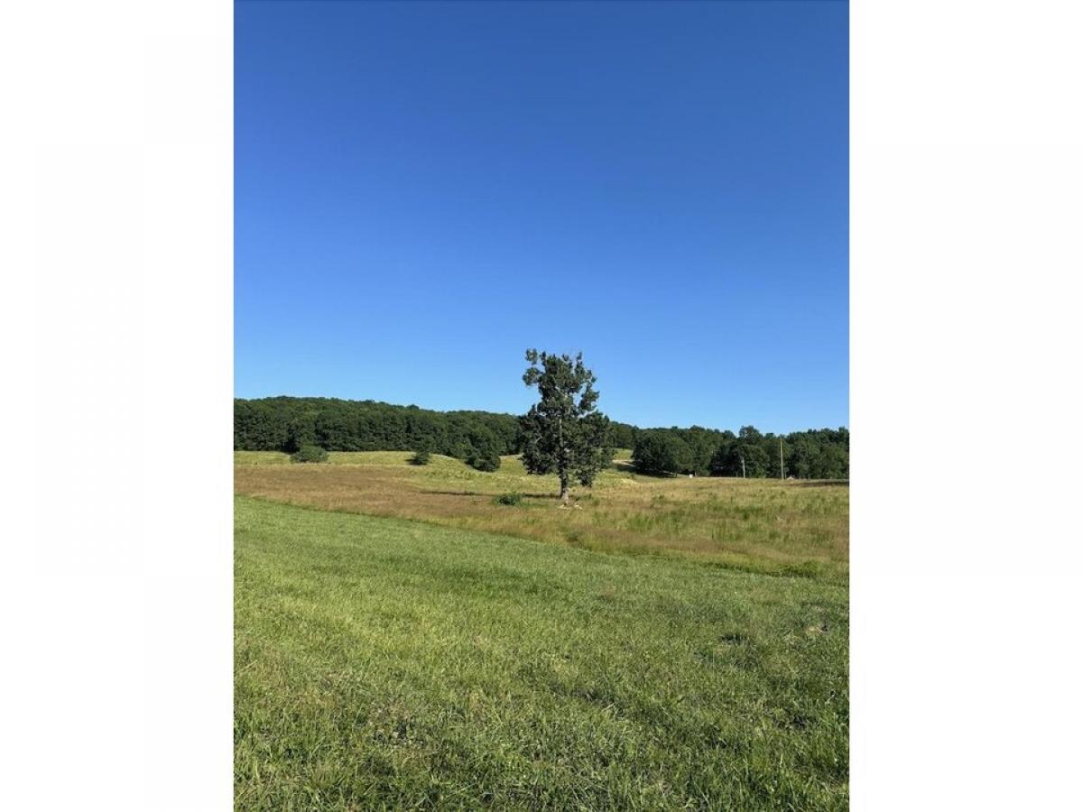 Picture of Residential Land For Sale in Graysville, Tennessee, United States