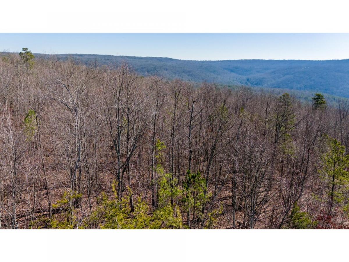 Picture of Residential Land For Sale in Dunlap, Tennessee, United States