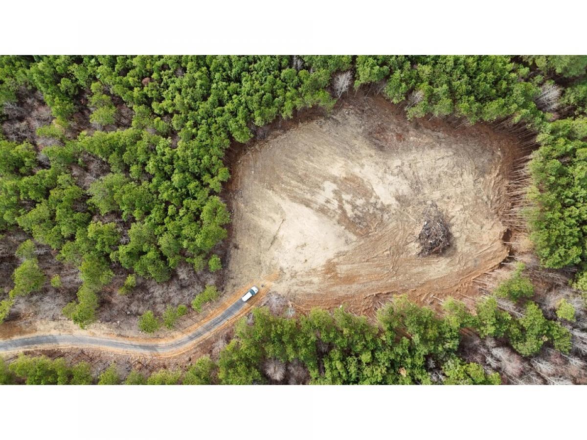 Picture of Residential Land For Sale in Lafayette, Georgia, United States