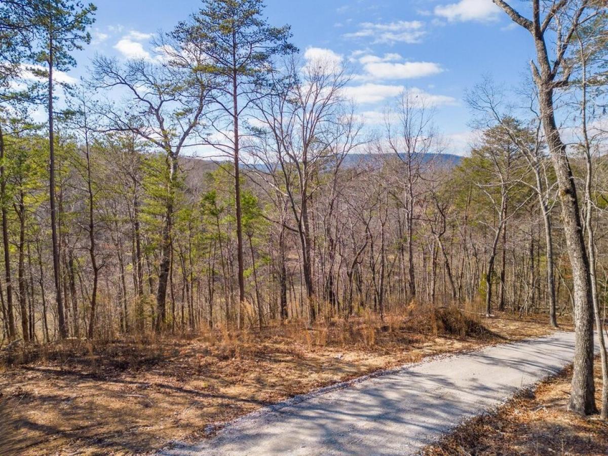 Picture of Residential Land For Sale in Chickamauga, Georgia, United States