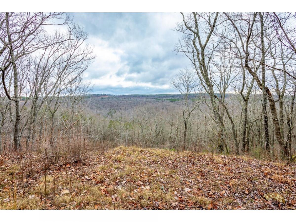 Picture of Residential Land For Sale in Guild, Tennessee, United States