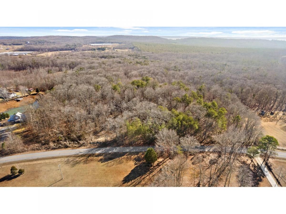 Picture of Residential Land For Sale in Ider, Alabama, United States