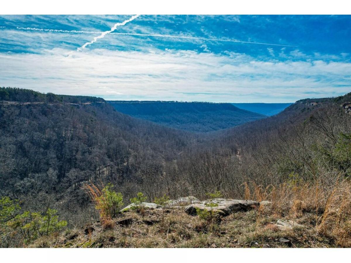 Picture of Residential Land For Sale in Jasper, Tennessee, United States