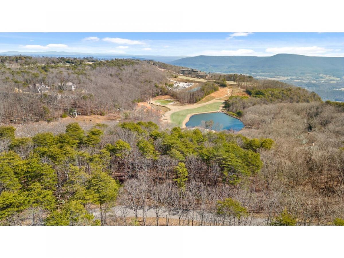 Picture of Residential Land For Sale in Rising Fawn, Georgia, United States