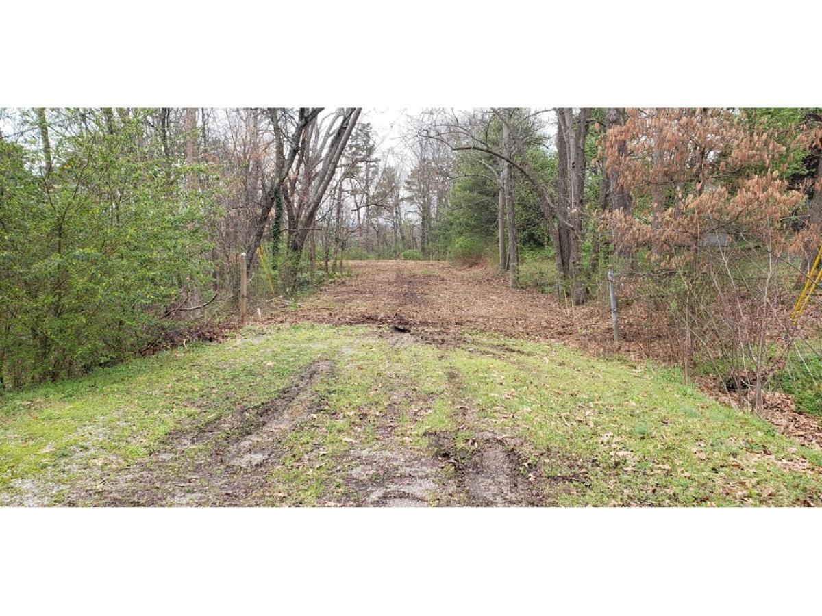 Picture of Residential Land For Sale in Chattanooga, Tennessee, United States