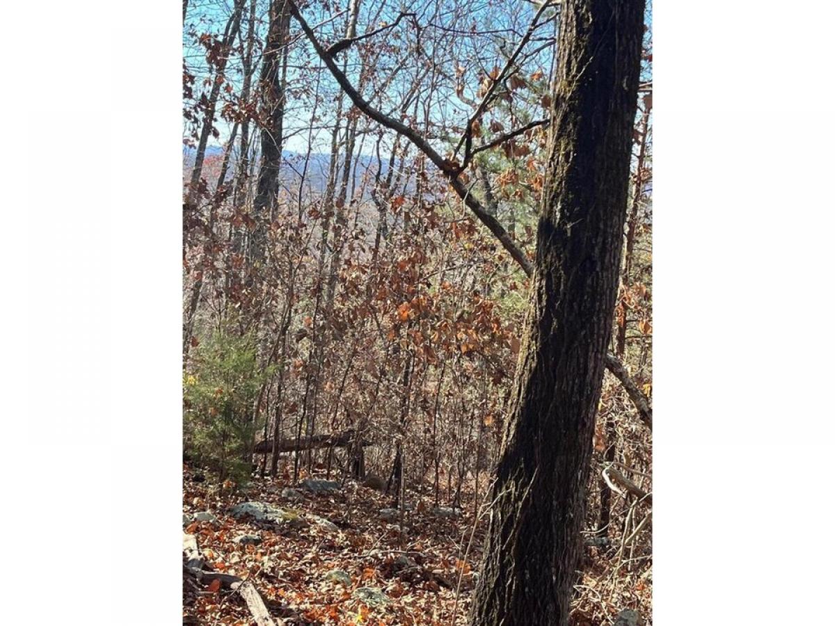 Picture of Residential Land For Sale in Rocky Face, Georgia, United States