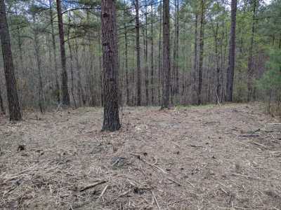 Residential Land For Sale in Guild, Tennessee