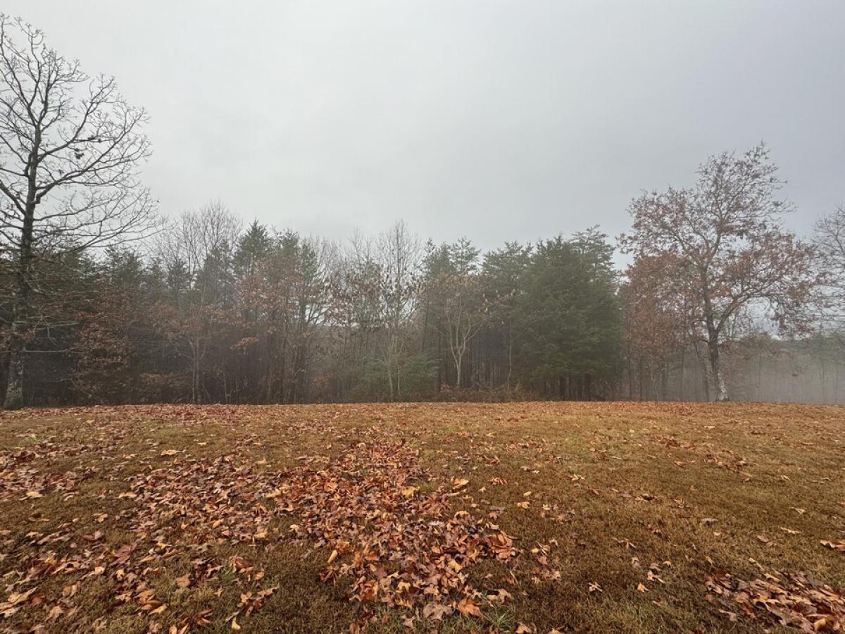 Picture of Residential Land For Sale in Dunlap, Tennessee, United States