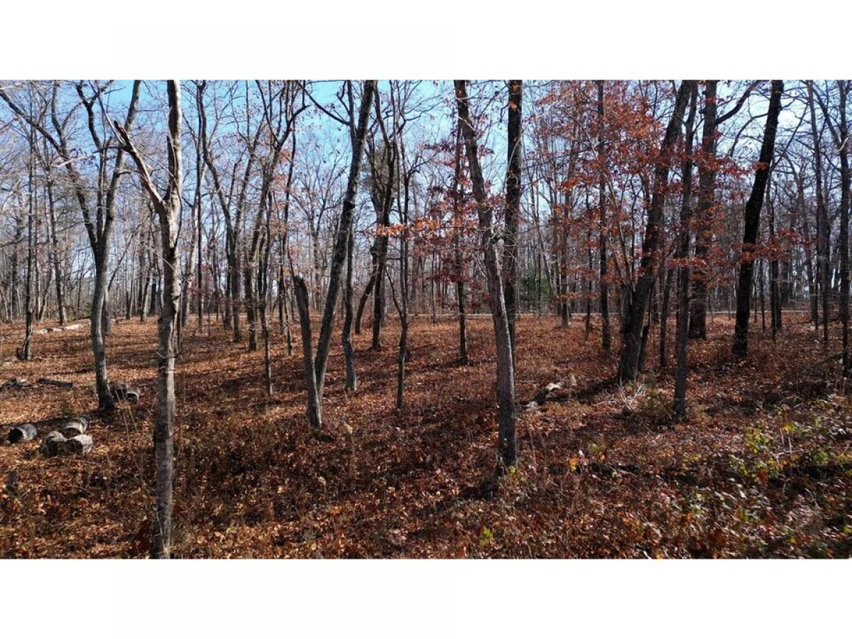 Picture of Residential Land For Sale in Signal Mountain, Tennessee, United States