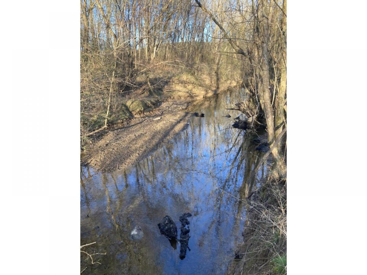 Picture of Residential Land For Sale in Rocky Face, Georgia, United States