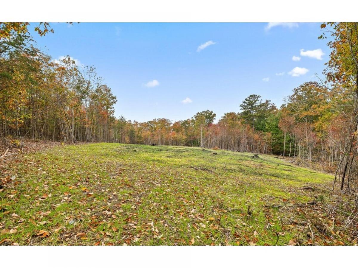 Picture of Residential Land For Sale in Signal Mountain, Tennessee, United States