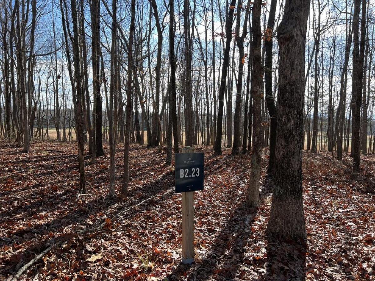 Picture of Residential Land For Sale in Rising Fawn, Georgia, United States