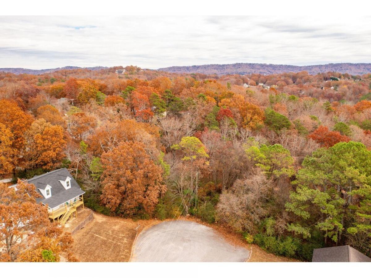 Picture of Residential Land For Sale in Chattanooga, Tennessee, United States