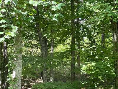 Residential Land For Sale in 