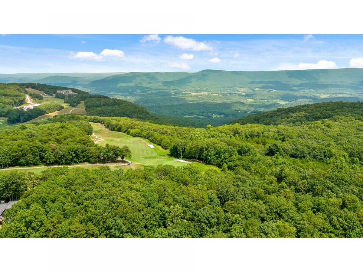 Picture of Residential Land For Sale in Rising Fawn, Georgia, United States