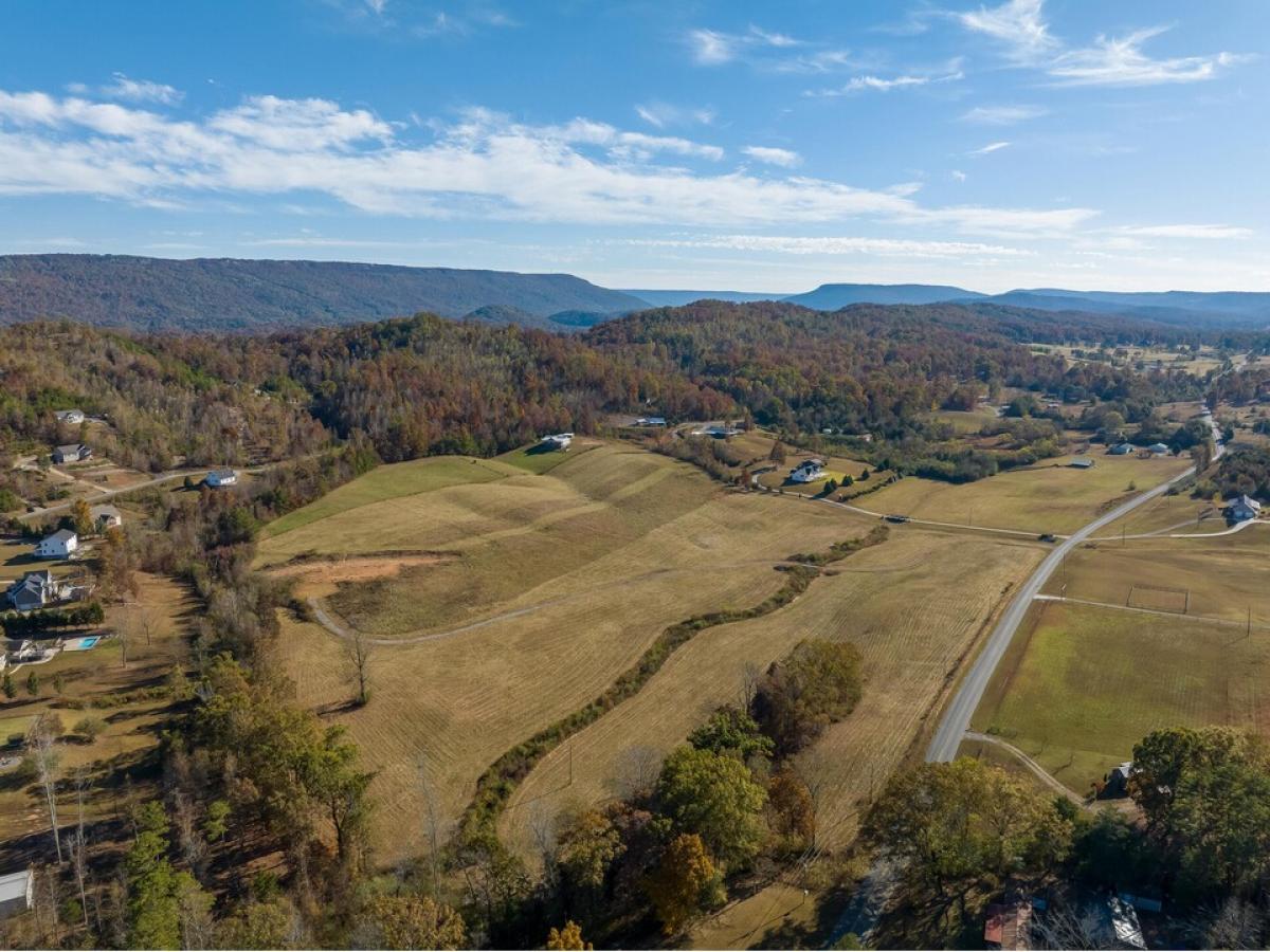 Picture of Residential Land For Sale in Trenton, Georgia, United States