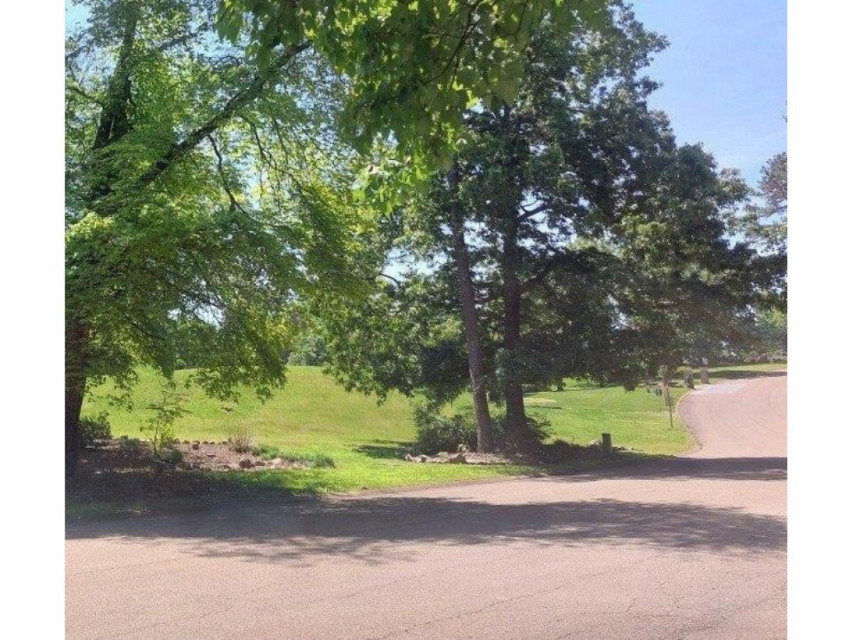 Picture of Residential Land For Sale in Chattanooga, Tennessee, United States