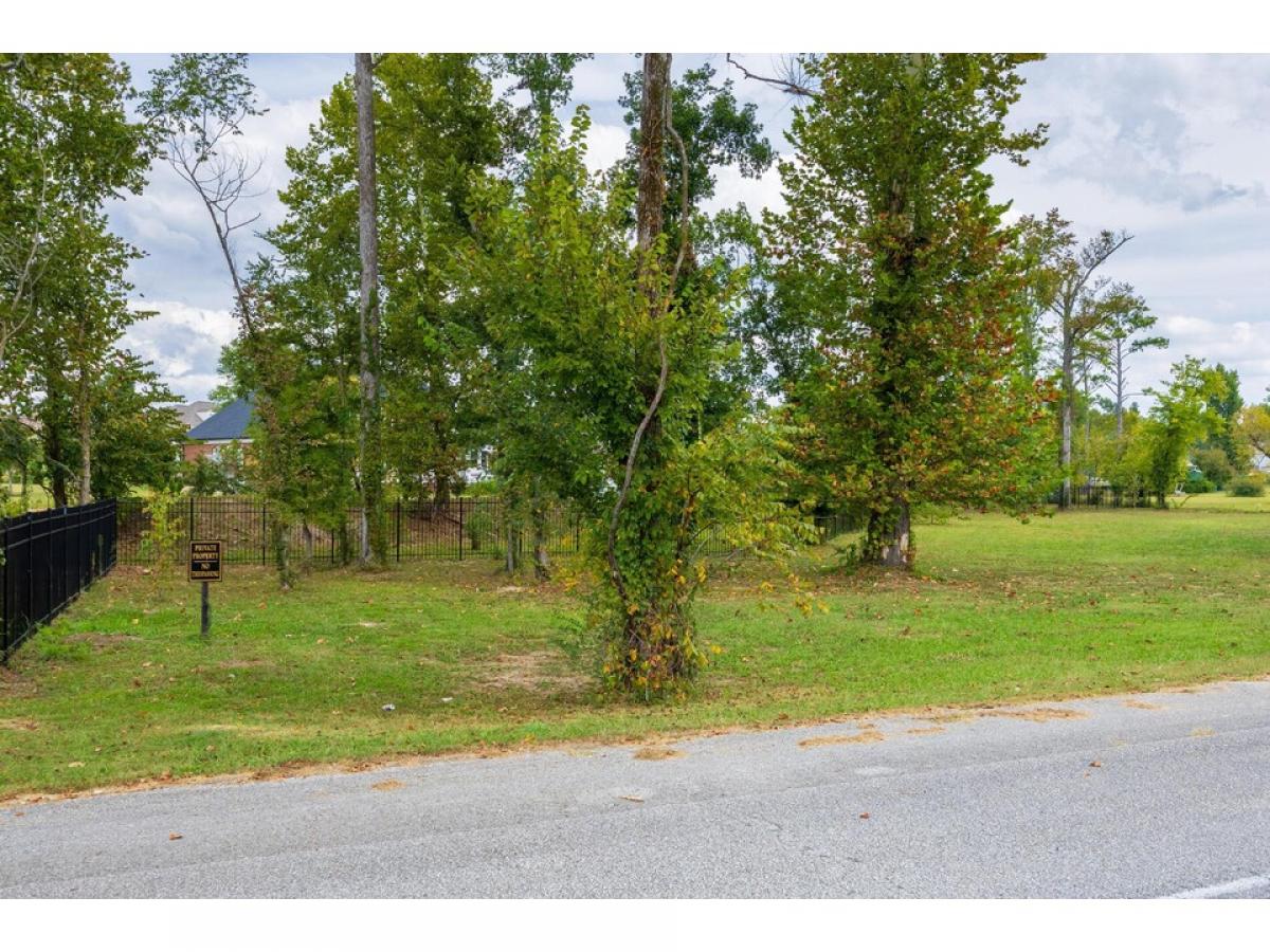 Picture of Residential Land For Sale in Chattanooga, Tennessee, United States